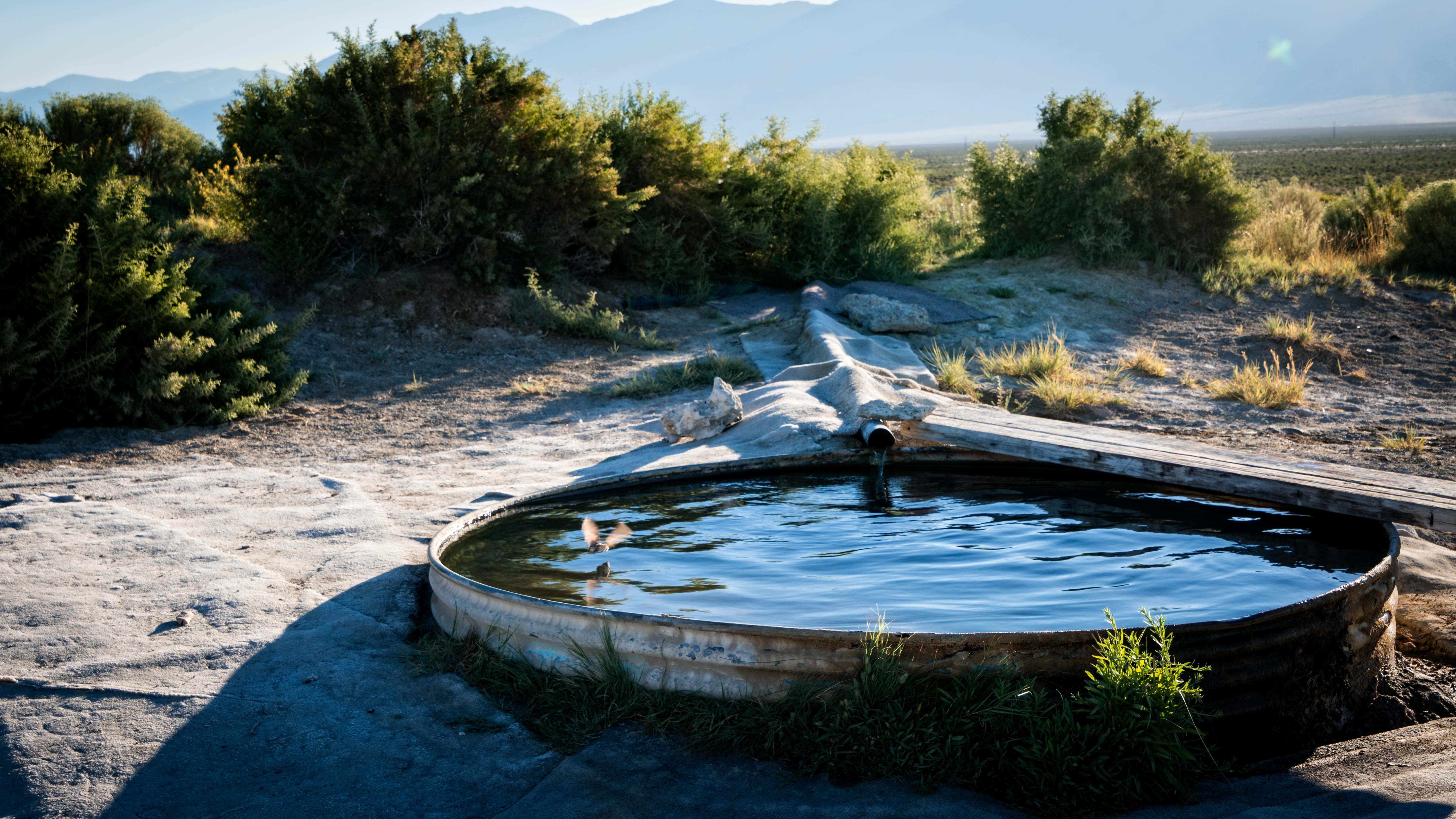 Mapped: Nevadas 20 best hot springs | Nevada map, Hot 