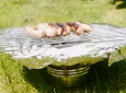 how to make a tin can barbeque