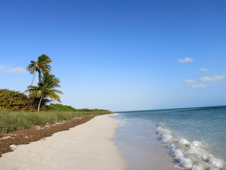 Bahia Honda Beach in the Florida Keys