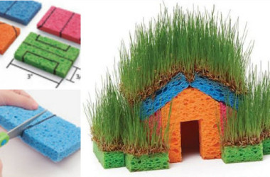 Grass covered sponge house