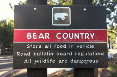RVing in bear country