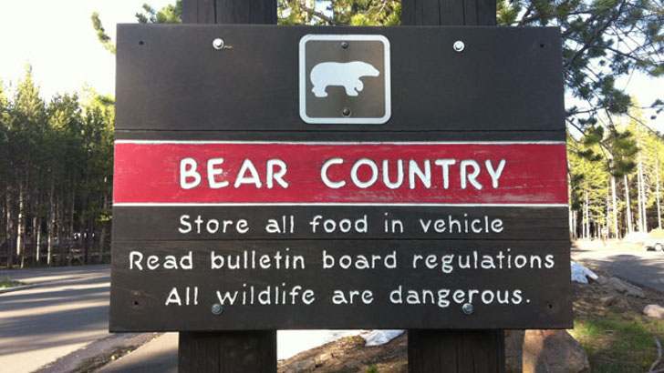 RVing in bear country