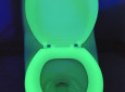 RV toilet seat