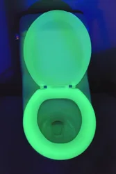 RV toilet seat