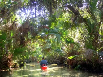 Central Florida Kayaking