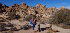national parks with kids