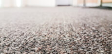 closeup of carpet looking fresh with a DIY carpet cleaner