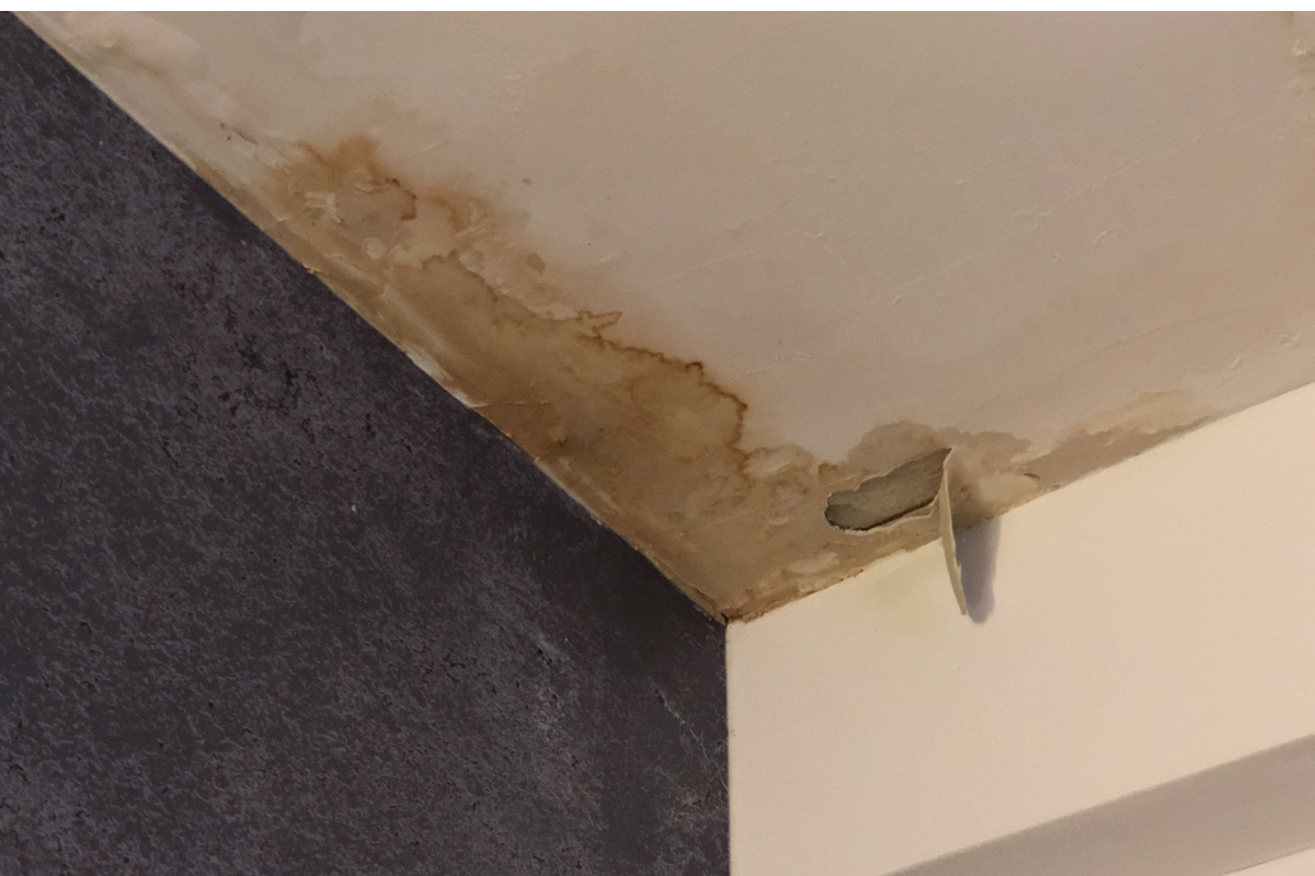 Water stains on ceiling mean you need help repairing RV water damage - rv water damage wall repair