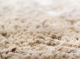 closeup of RV carpet - RV carpet cleaning tips