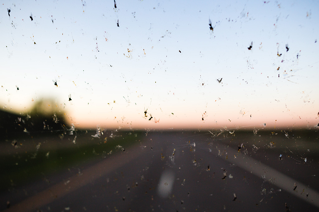clean an rv windshield and in this case the bugs will need to be scrapped off of the exterior surface.