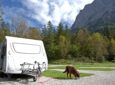 brown dog on a leash outside of a camper - RVing with dogs
