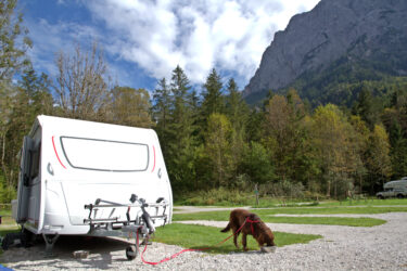 brown dog on a leash outside of a camper - RVing with dogs