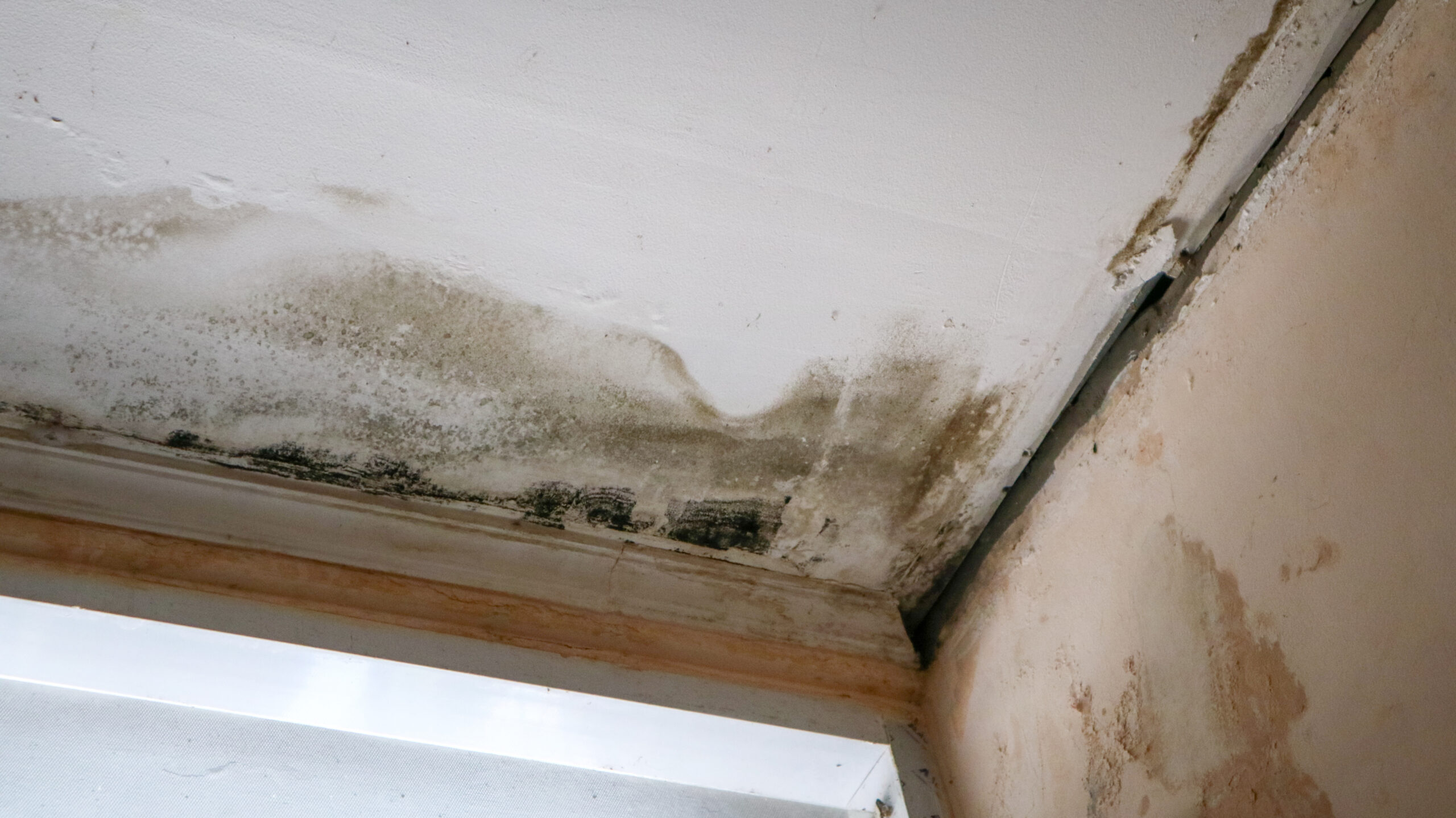 Ceiling corner with water damage exposing mold - RV slide-out water damage repair