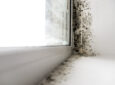 black mold in window - feature image for how to identify black mold in your RV