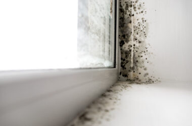 black mold in window - feature image for how to identify black mold in your RV