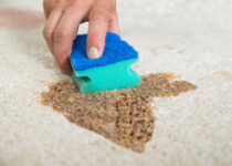 A Guide To RV Carpet Stain Removal 