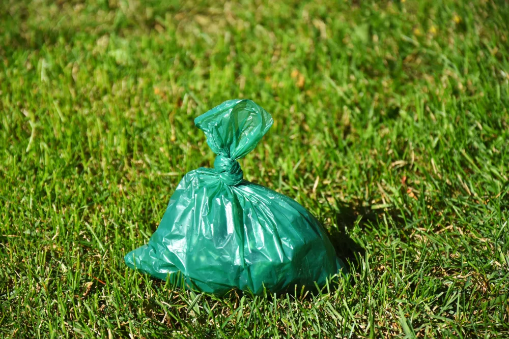 bagged dog poop in grass, feature for leave no trace principles
