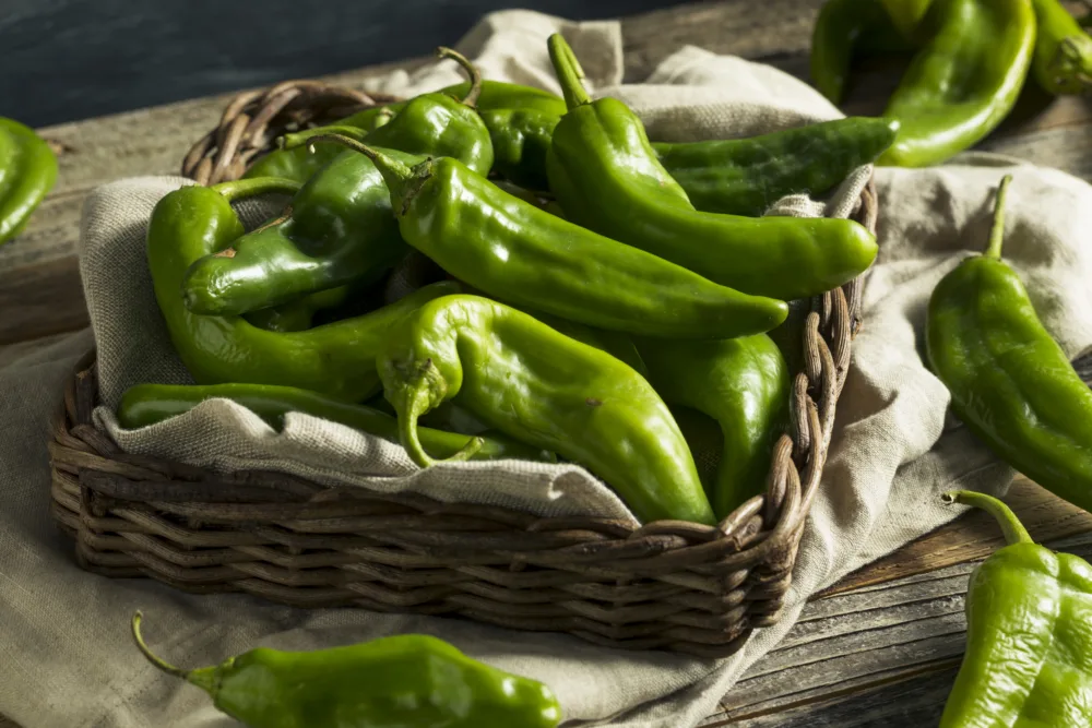 basket of Hatch green chiles