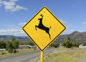 wildlife sign to be cautious of