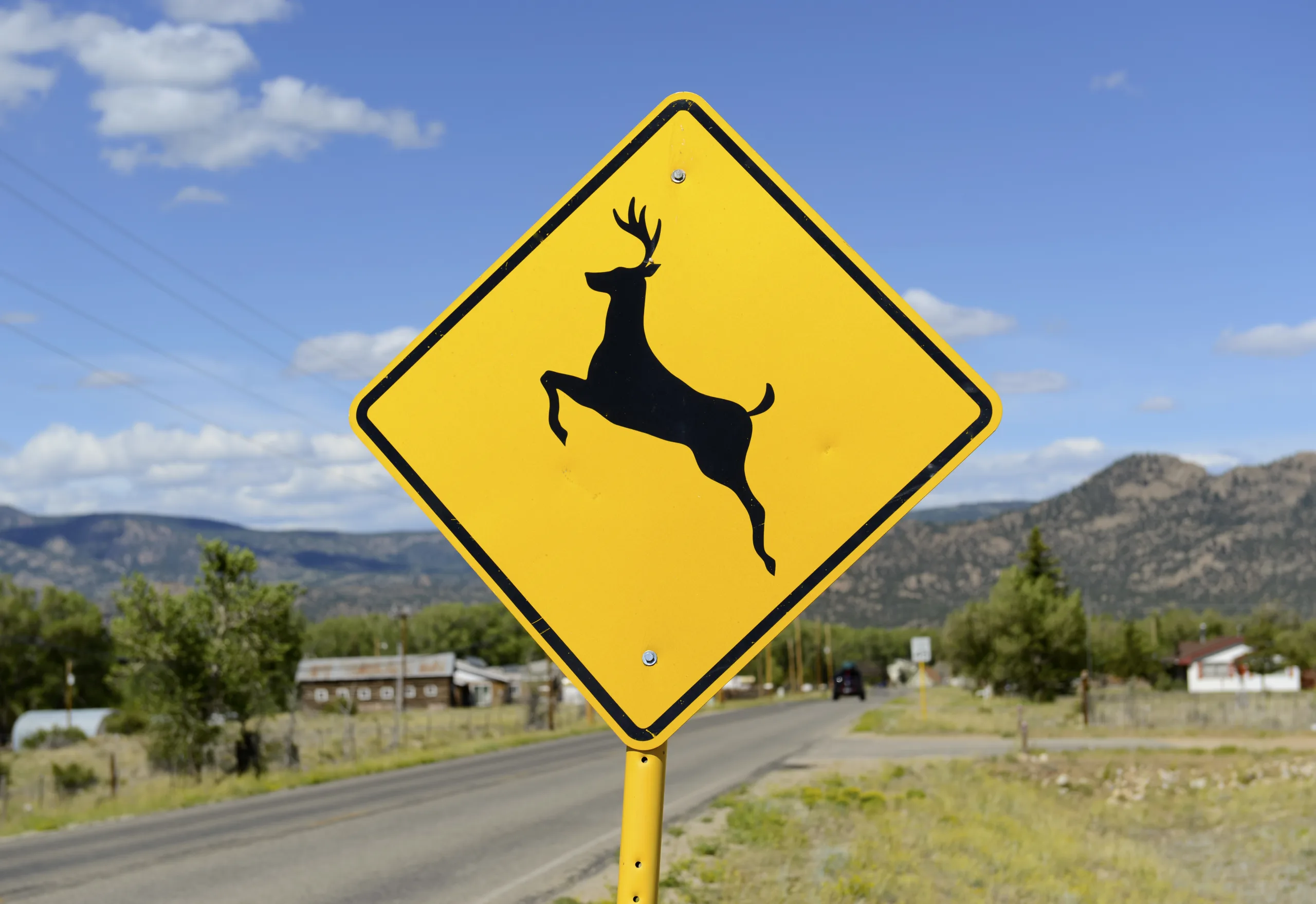 wildlife sign to be cautious of