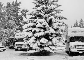 Class C RVs parked on either side of an evergreen covered in white snow
