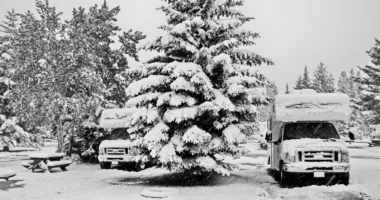 Class C RVs parked on either side of an evergreen covered in white snow