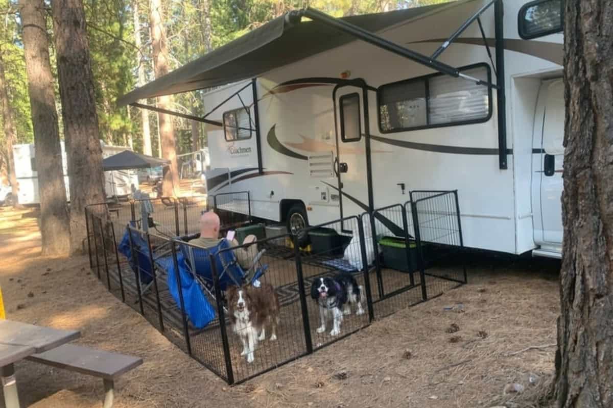 Class C in woods with awning open and dogs looking out fence
